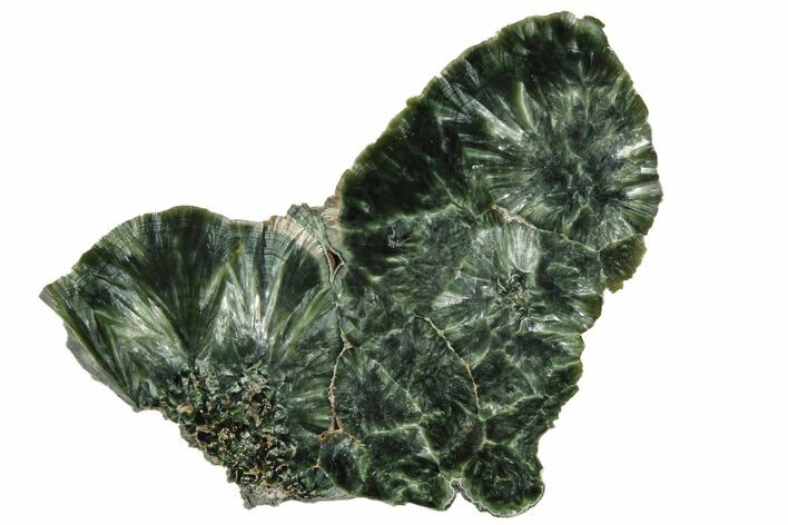 Polished Seraphinite Slab - Siberia #174830